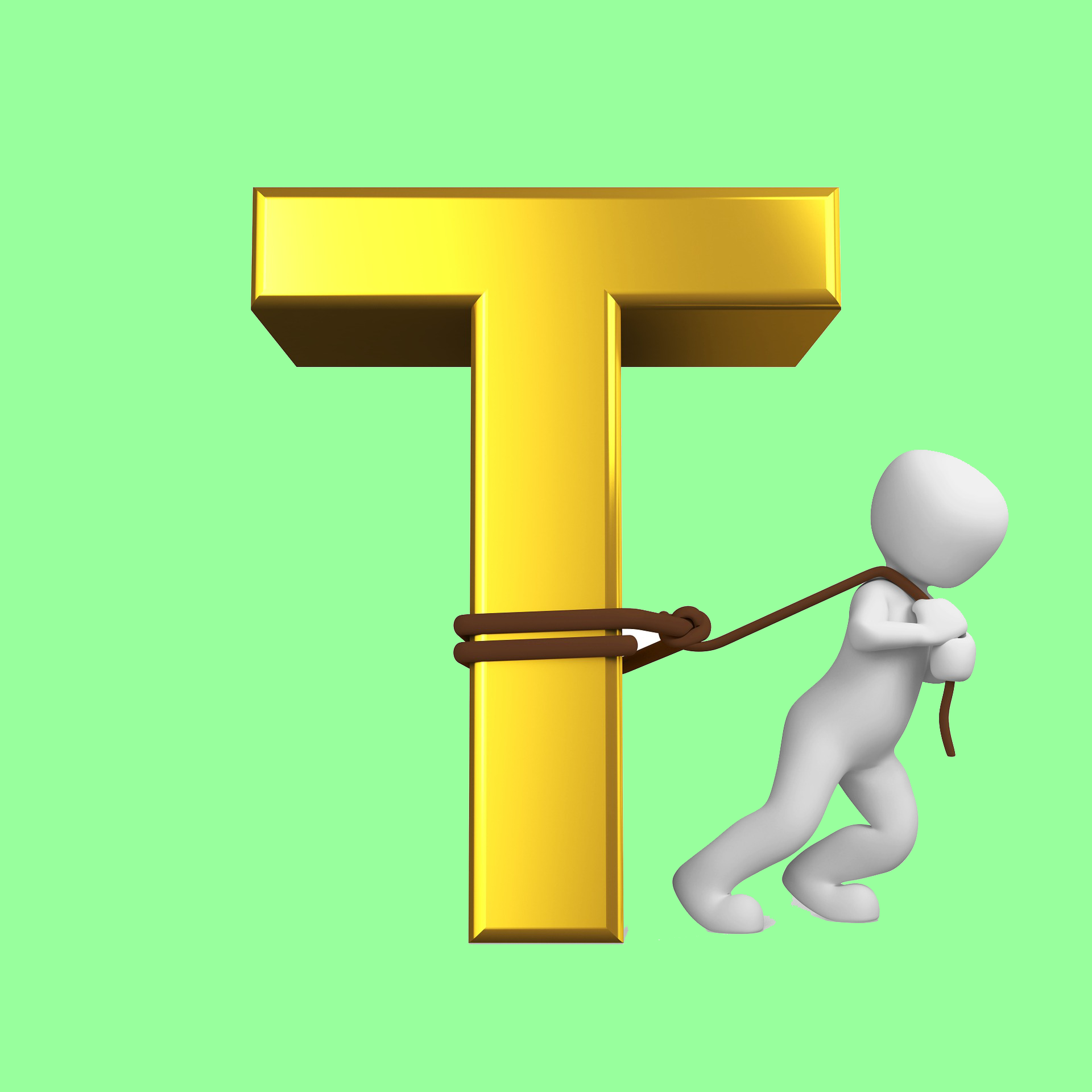 T for Tiger