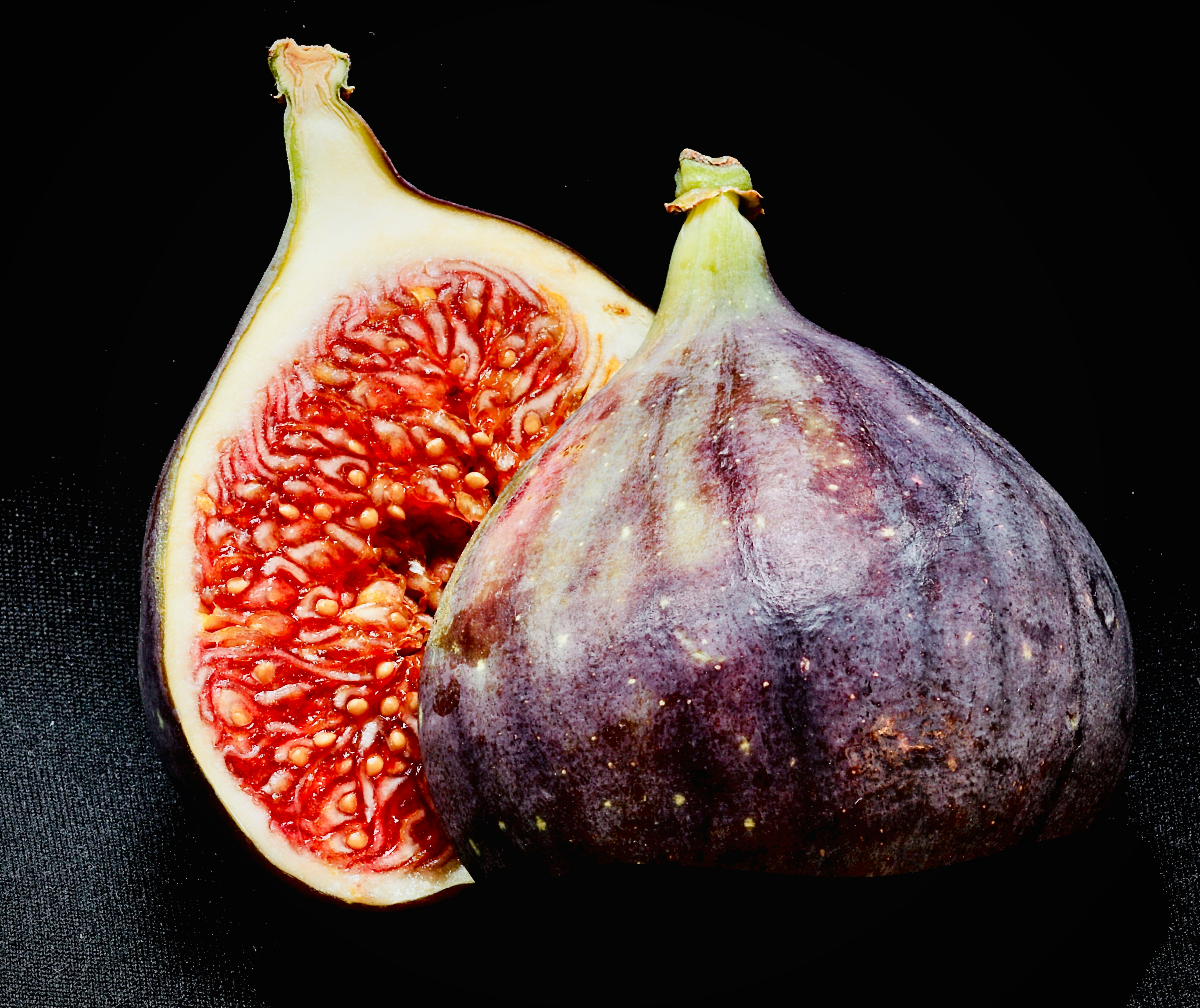 Fig