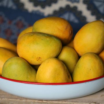 Mango icon