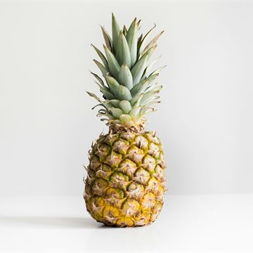 Pineapple icon